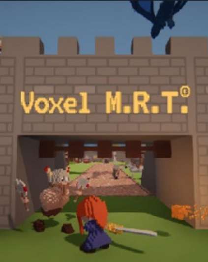 Voxel M.R.T.