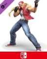 Super Smash Bros. Ultimate Terry Bogard Challenger Pack 4