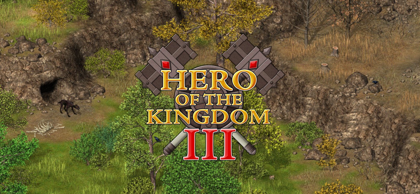 Hero of the Kingdom III 10
