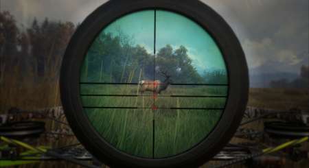 theHunter Call of the Wild Weapon Pack 1 7