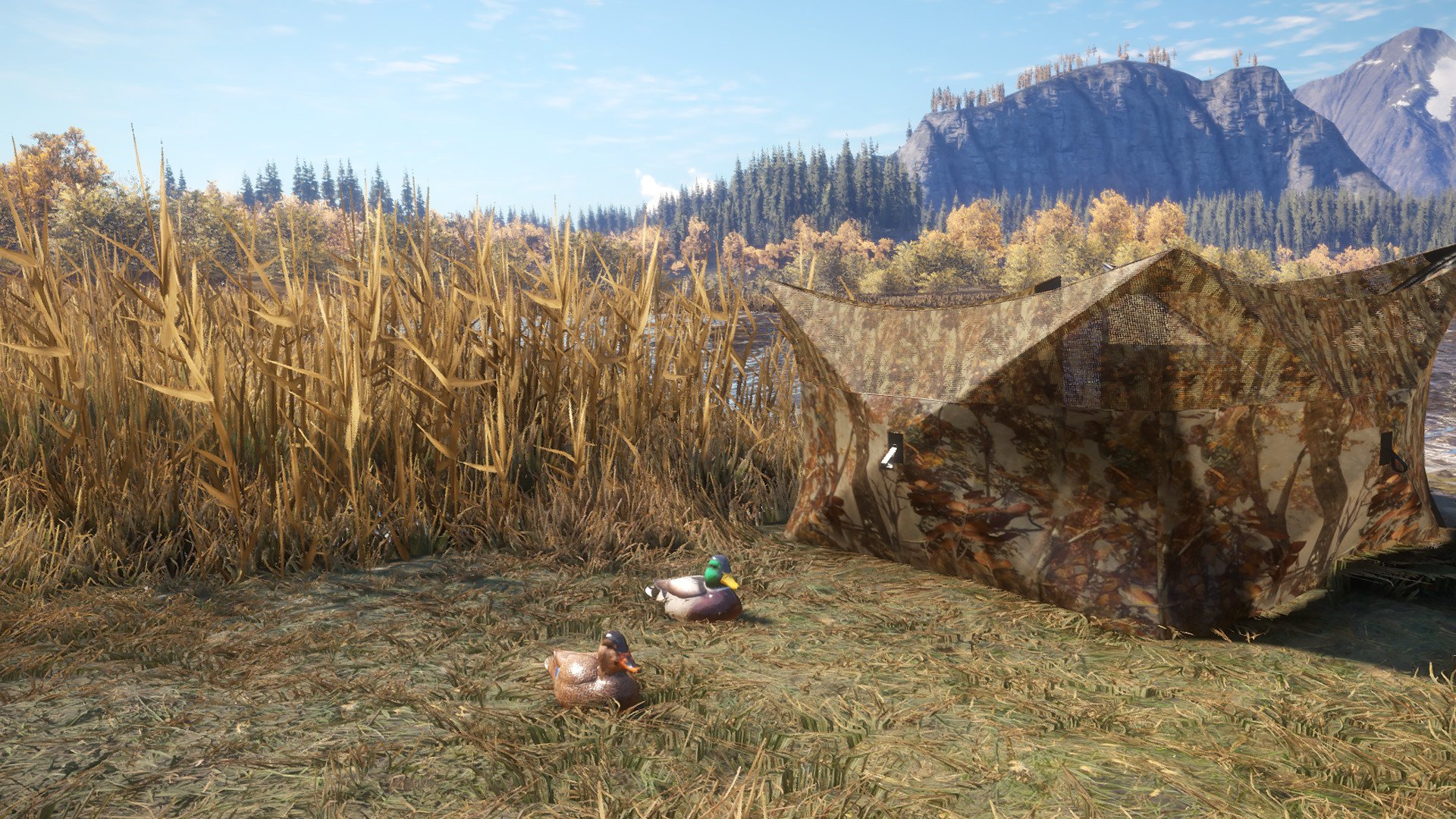 theHunter Call of the Wild Duck and Cover Pack 4