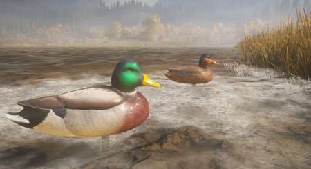 theHunter Call of the Wild Duck and Cover Pack 6