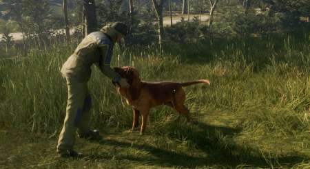 theHunter Call of the Wild Bloodhound 6