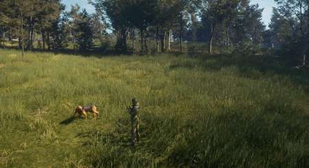 theHunter Call of the Wild Bloodhound 7