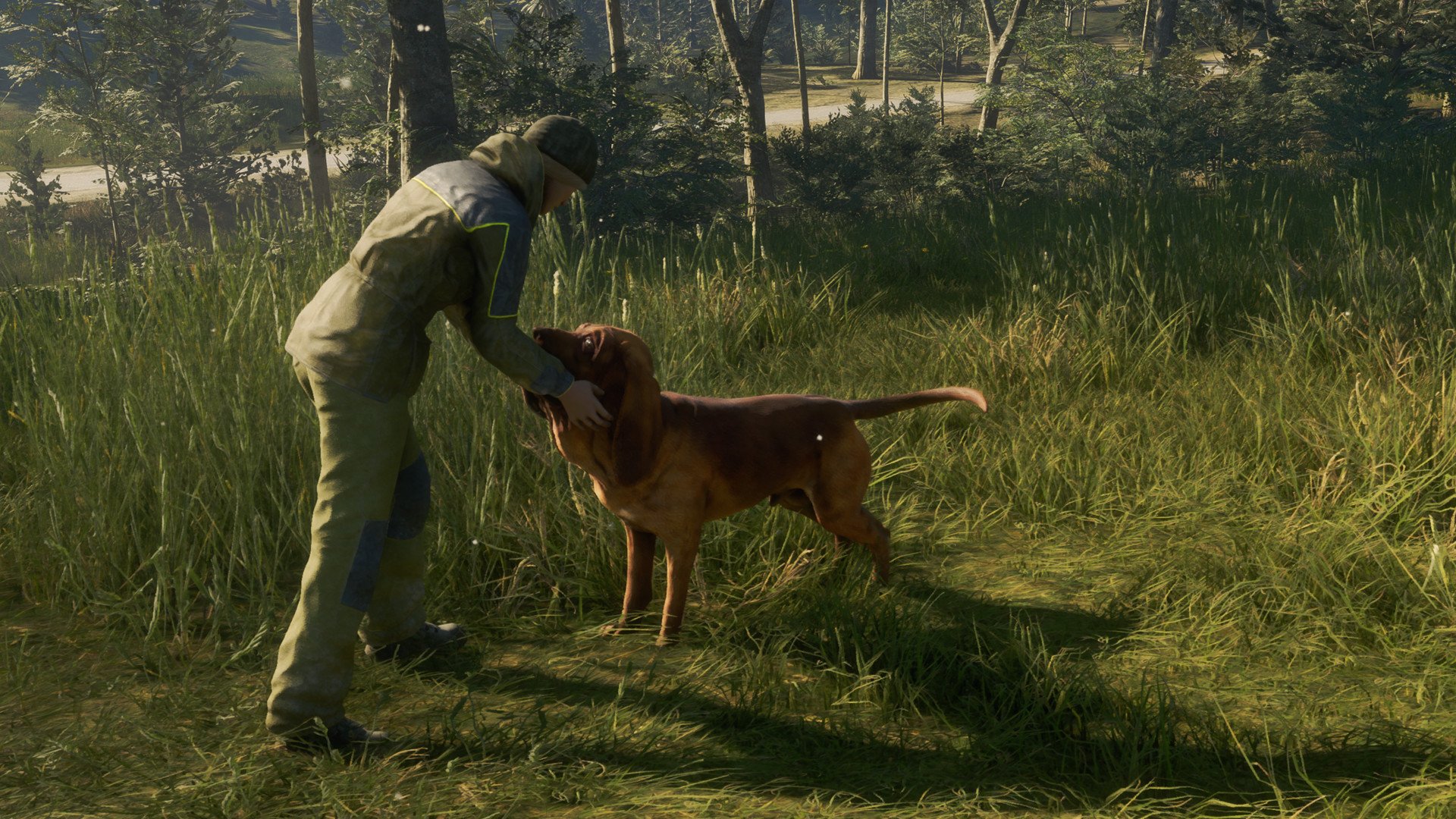 theHunter Call of the Wild Bloodhound 6