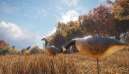 theHunter Call of the Wild Wild Goose Chase Gear 5