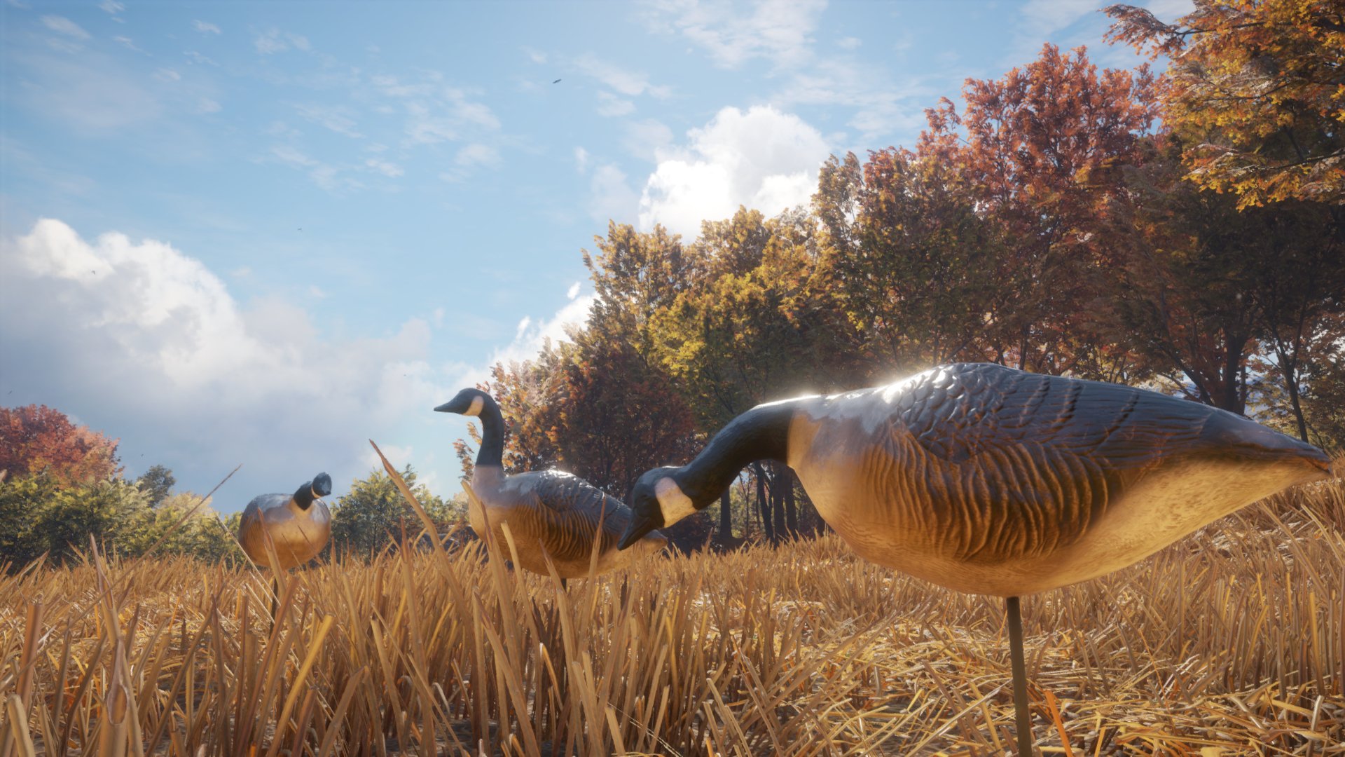theHunter Call of the Wild Wild Goose Chase Gear 5