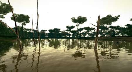 Ultimate Fishing Simulator Amazon River 18