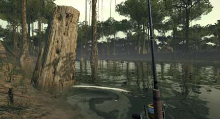 Ultimate Fishing Simulator Amazon River 5