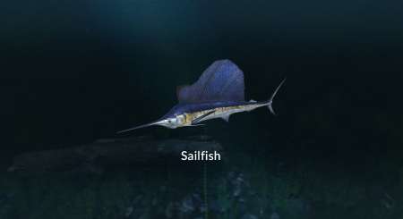 Ultimate Fishing Simulator New Fish Species 1