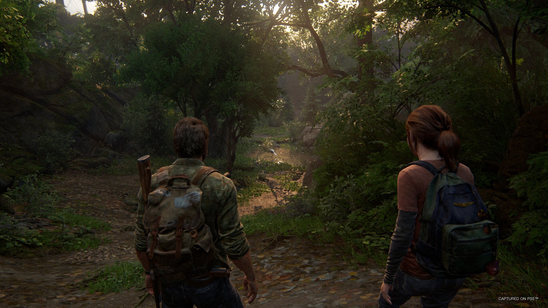 The Last of Us Part I 11