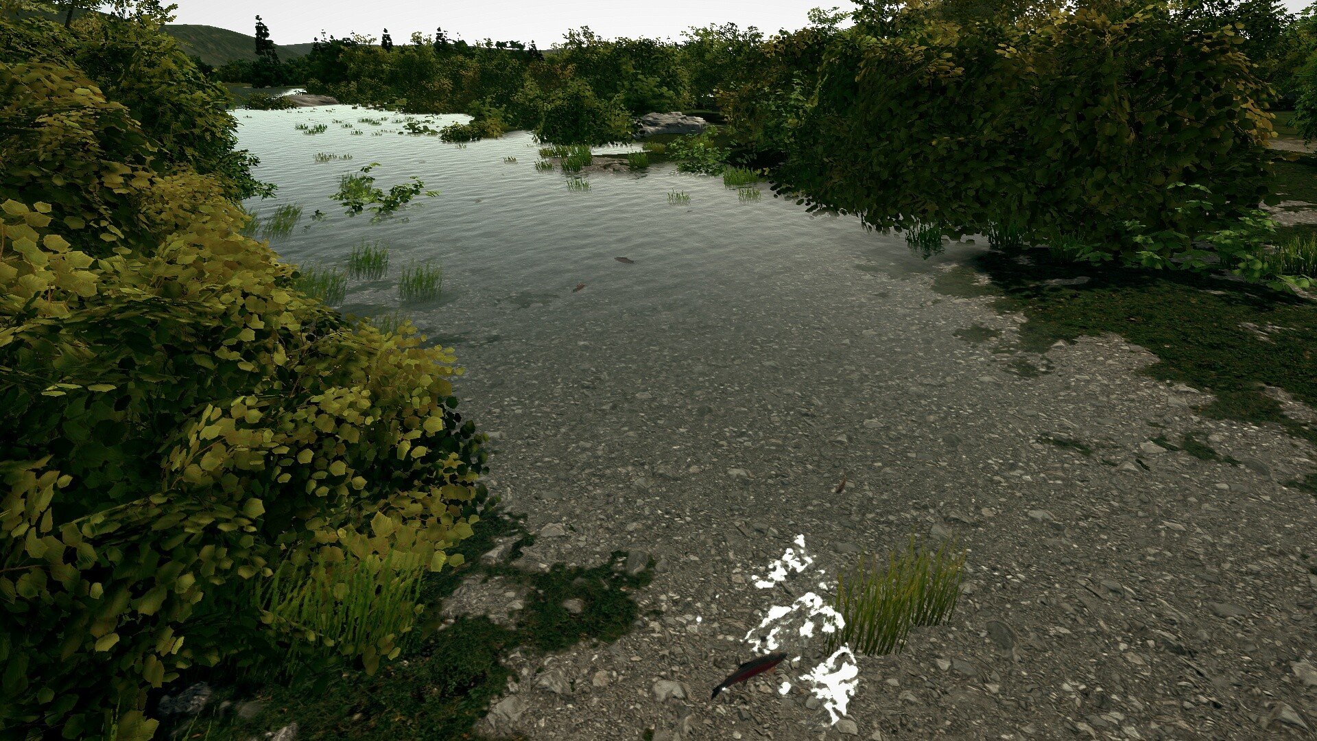 Ultimate Fishing Simulator Taupo Lake 17