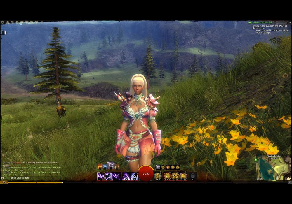 Guild Wars 2 Heroic Edition 3215