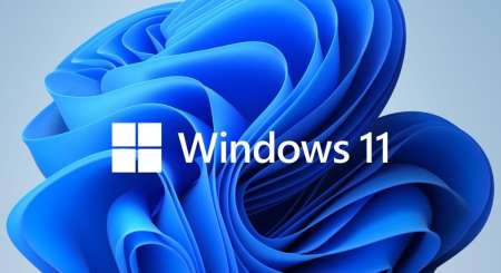 Windows 11 Pro OEM 2