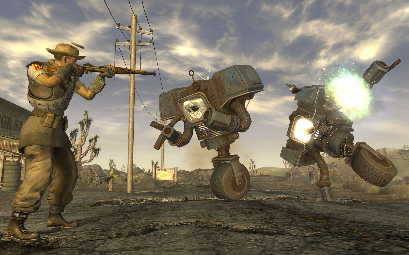 Fallout New Vegas 5