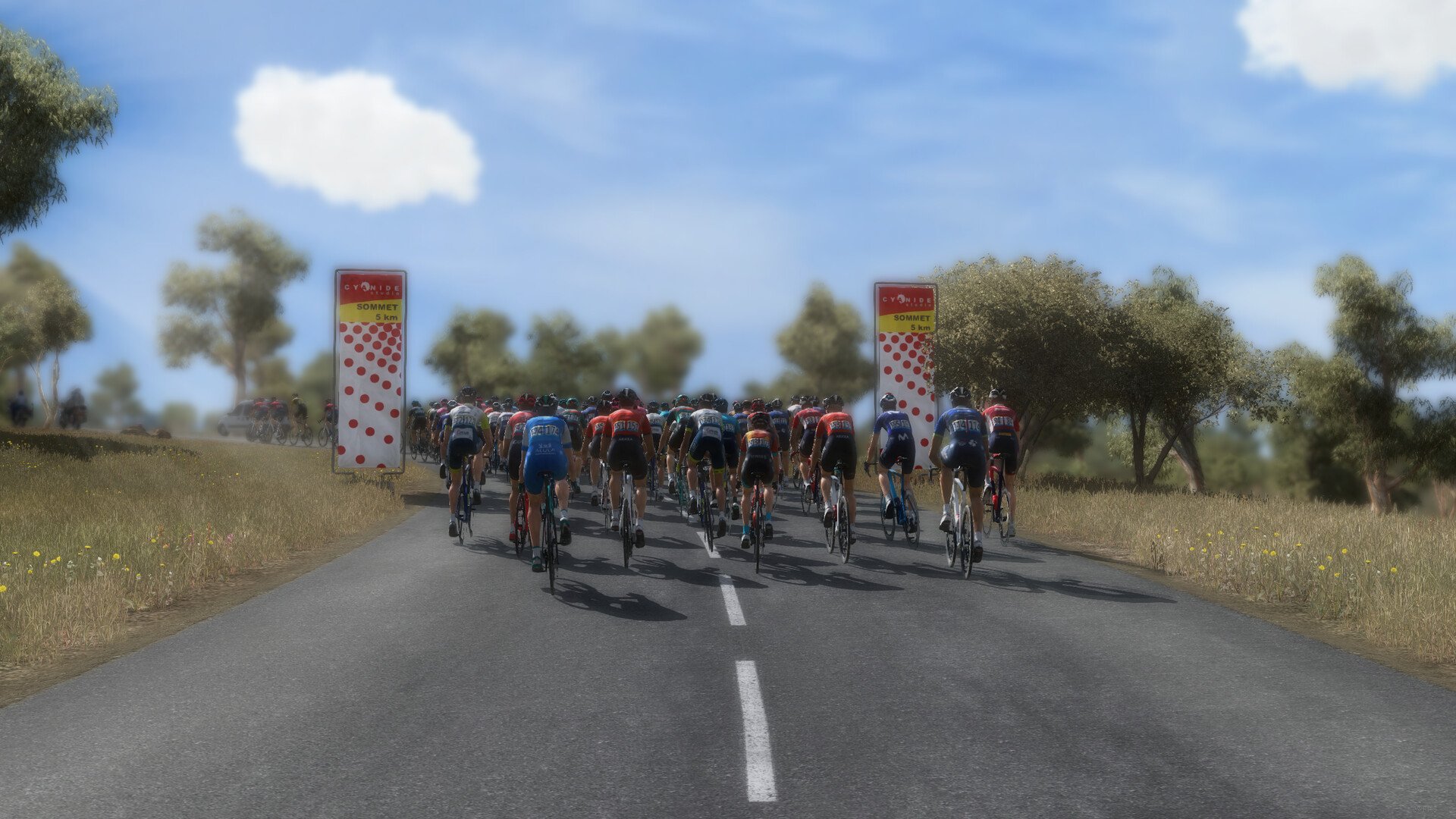 Pro Cycling Manager 2023 3
