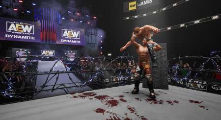 AEW Fight Forever 2