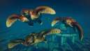 Jurassic World Evolution 2 Prehistoric Marine Species Pack 2