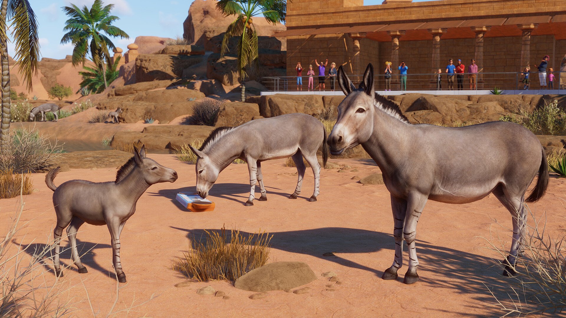 Planet Zoo Arid Animal Pack 11