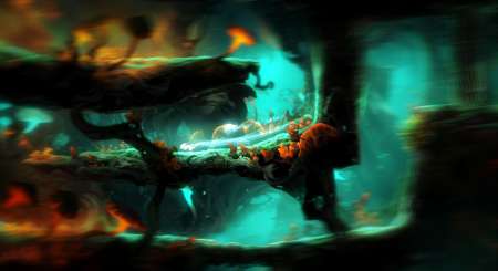 Ori and the Blind Forest Definitive Edition 3