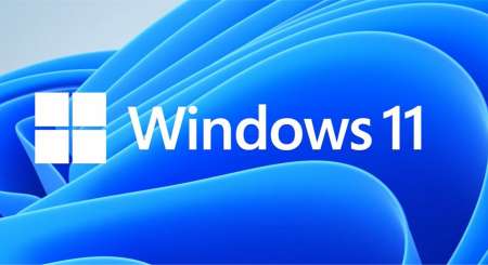 Windows 11 Home OEM 1