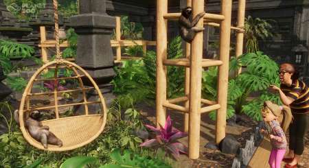 Planet Zoo Tropical Pack 11