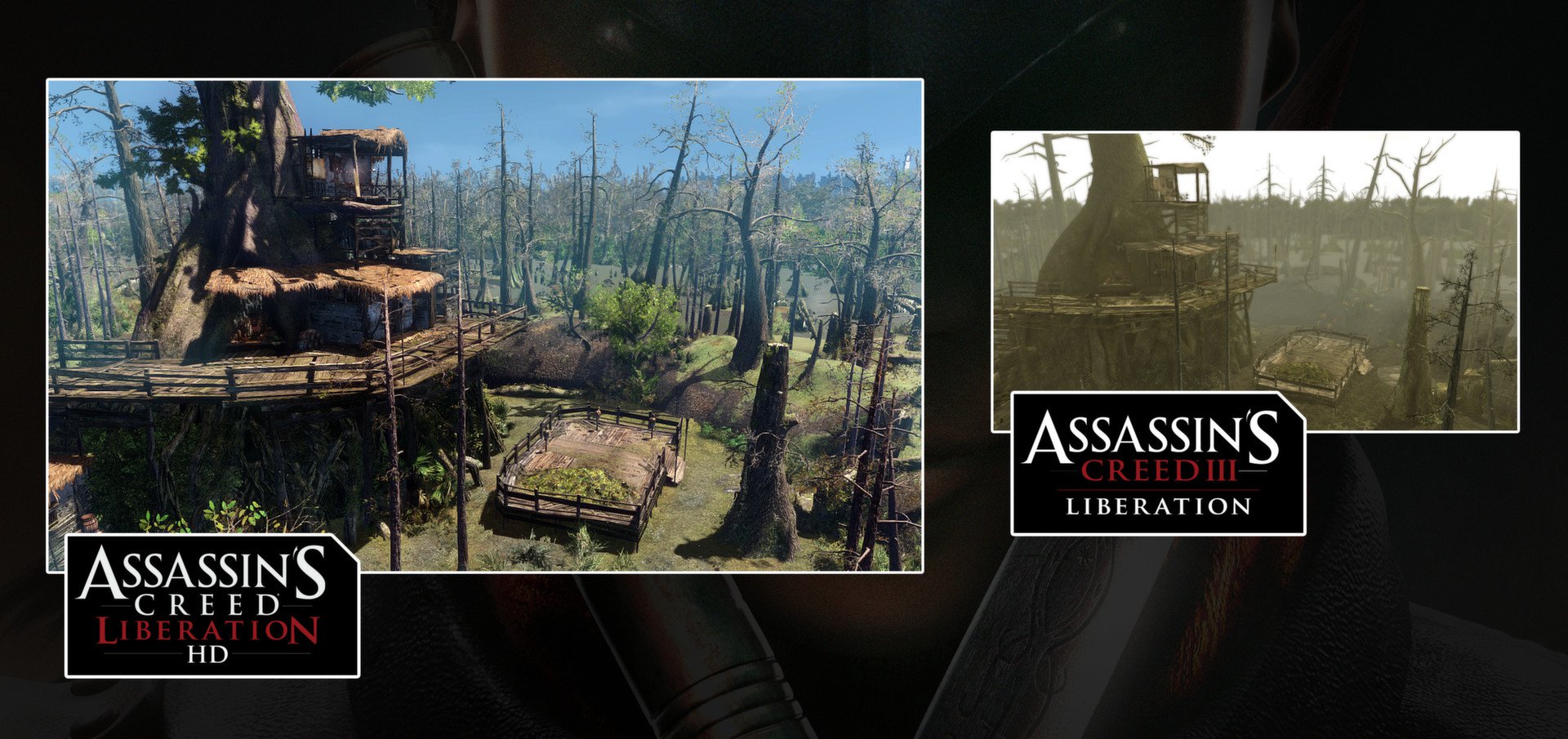 Assassins Creed Liberation HD 6