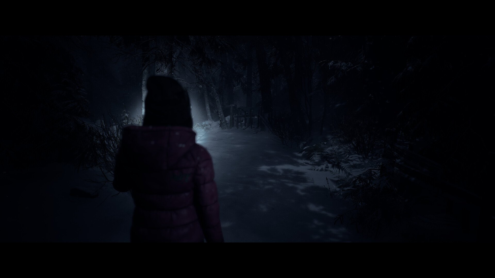 Until Dawn 11