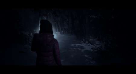 Until Dawn 11