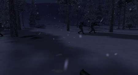 Hidden & Dangerous Bundle 12