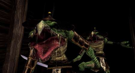 Onimusha 2 Samurai's Destiny 9