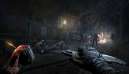Dying Light The Beast 4