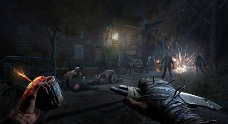 Dying Light The Beast 4
