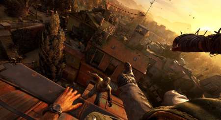 Dying Light The Beast 7