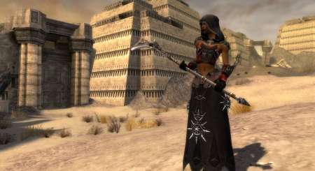 Guild Wars The 20th Anniversary Masterpiece Collection 6