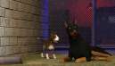 The Sims 3 Pets Domácí Mazlíčci 2