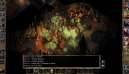 Baldurs Gate 2 Enhanced Edition 1