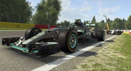 F1 2015 10
