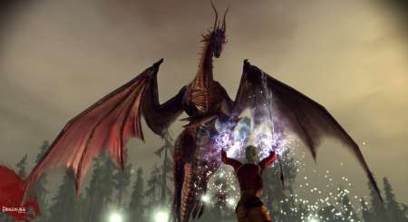 Dragon Age Origins 8