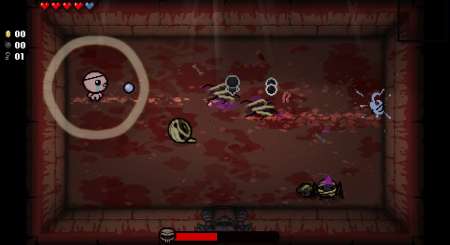 The Binding of Isaac Afterbirth 6