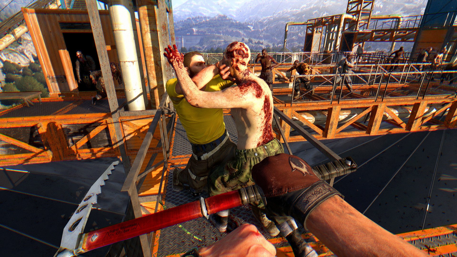 Dying Light The Following 9