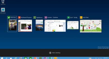 Windows 10 Professional OEM 4