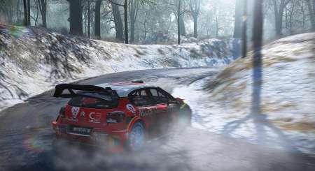WRC 7 FIA World Rally Championship 3