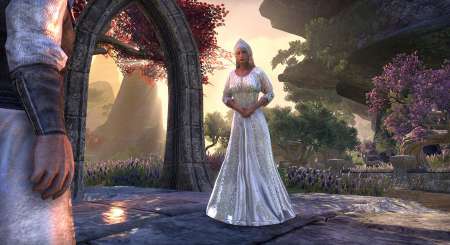 The Elder Scrolls Online Morrowind Upgrade 3