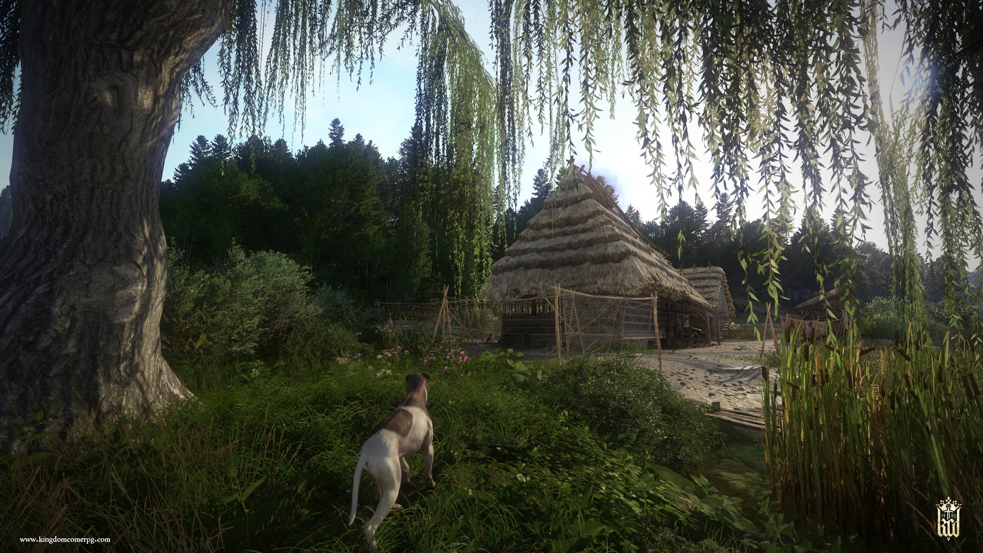 Kingdom Come Deliverance Special Edition 7