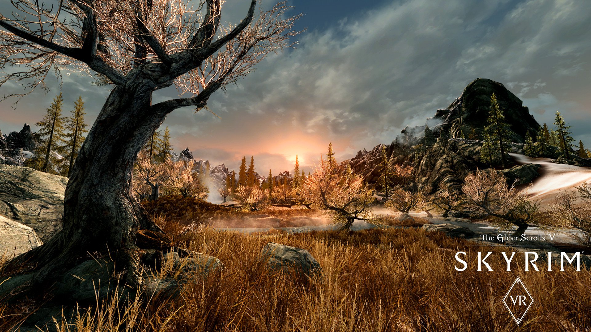 The Elder Scrolls V Skyrim VR 1