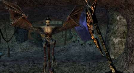 The Elder Scrolls III Morrowind Game of the Year Edition 6