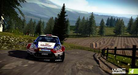 World Rally Championship 4 | WRC 4 5