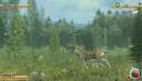 Deer Hunt Legends 6