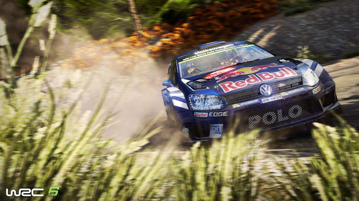 WRC 6 5